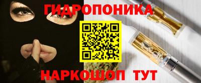 прущие грибы Славянск-на-Кубани