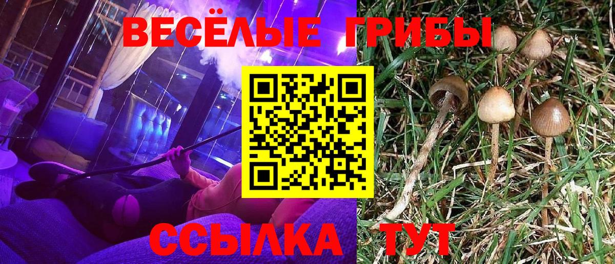 Псилоцибиновые грибы Psilocybine cubensis  Вход с VPN  Псилоцибиновые грибы Cubensis  Барнаул 